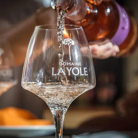 Villa Domaine La Yole Wine *