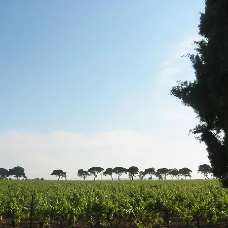 Domaine La Yole Wine Villa Vendres