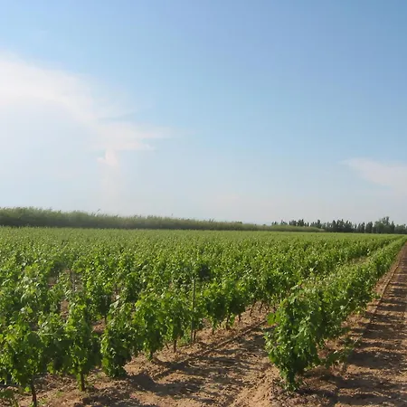 Domaine La Yole Wine