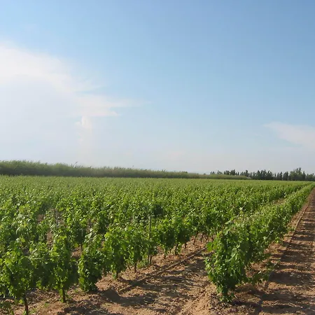 Domaine La Yole Wine *