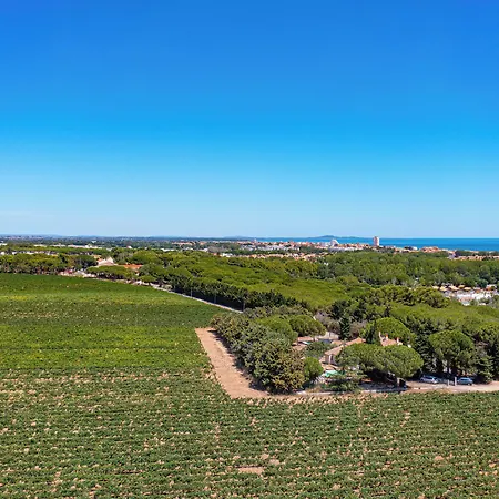 Domaine La Yole Wine Villa